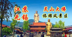 日屌毛片动态视频江苏无锡灵山大佛旅游风景区