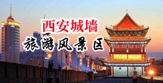 骚逼!白浆一级视频中国陕西-西安城墙旅游风景区